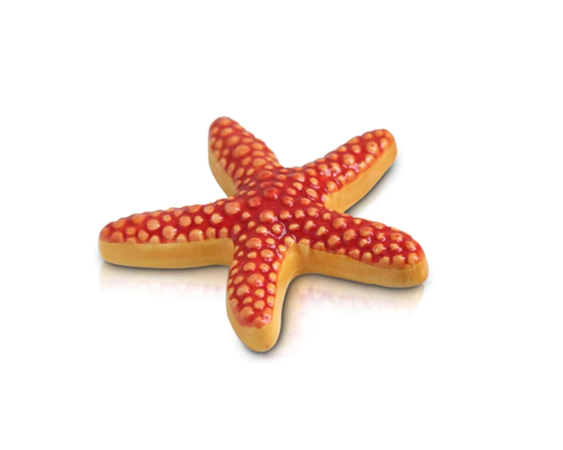 A66 Starfish